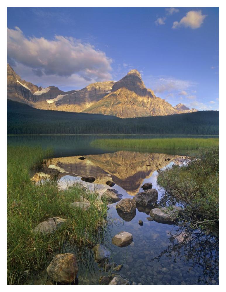 Mount Chephren and Waterfowl Lake, Banff National Park, Alberta, Canada-Paper Art-32"x42"