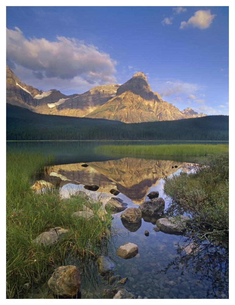 Mount Chephren and Waterfowl Lake, Banff National Park, Alberta, Canada-Paper Art-38"x50"