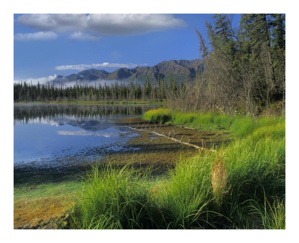 Nutzotin Mountains and boreal forest reflected in receding lake, Alaska-Paper Art-22"x18"