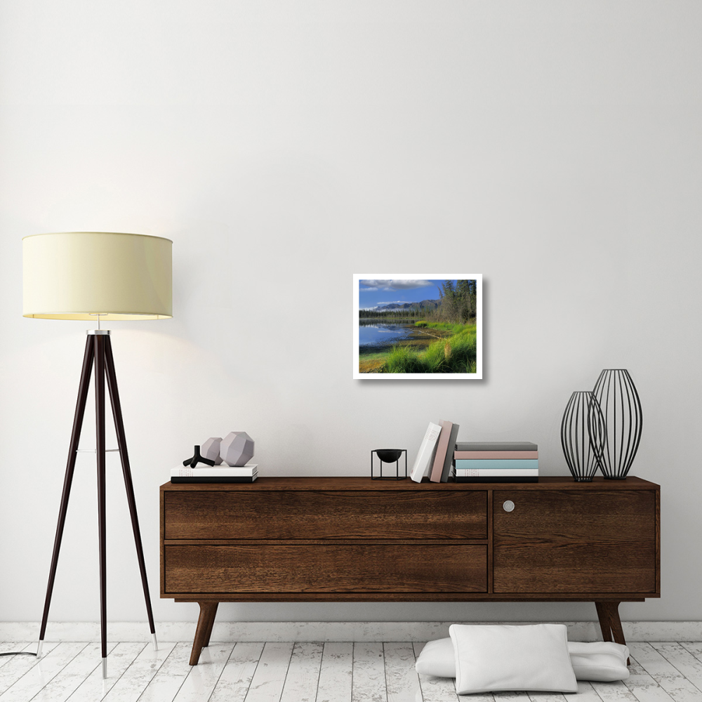 Nutzotin Mountains and boreal forest reflected in receding lake, Alaska-Paper Art-22&quotx18"