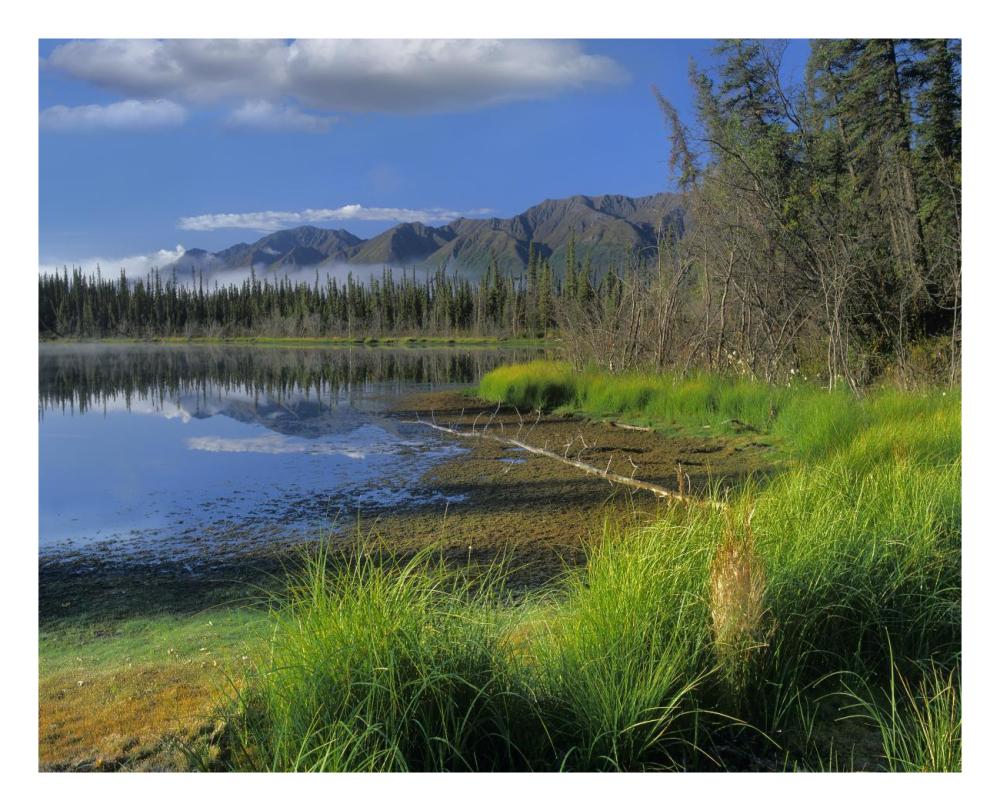 Nutzotin Mountains and boreal forest reflected in receding lake, Alaska-Paper Art-26"x22"
