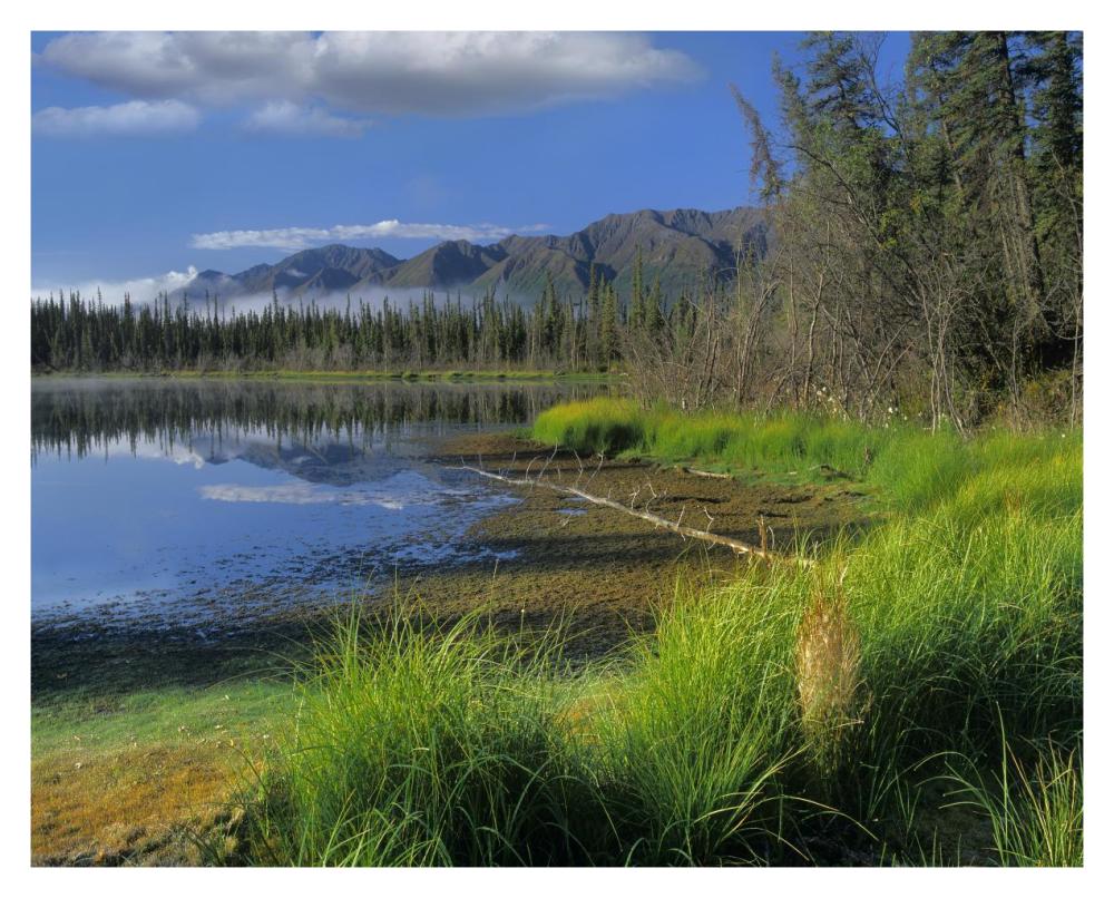 Nutzotin Mountains and boreal forest reflected in receding lake, Alaska-Paper Art-37"x30"