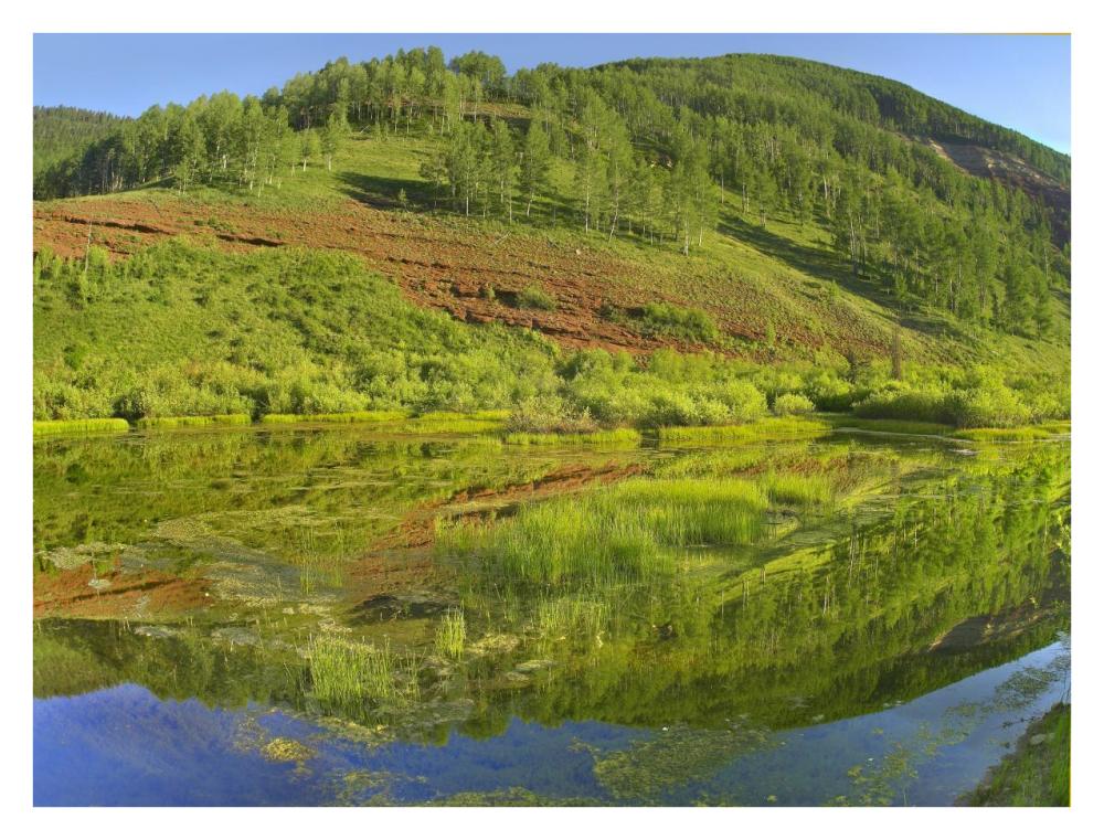 Rico Mountains reflected in Dolores River backwater near Rico, Colorado-Paper Art-34"x26"