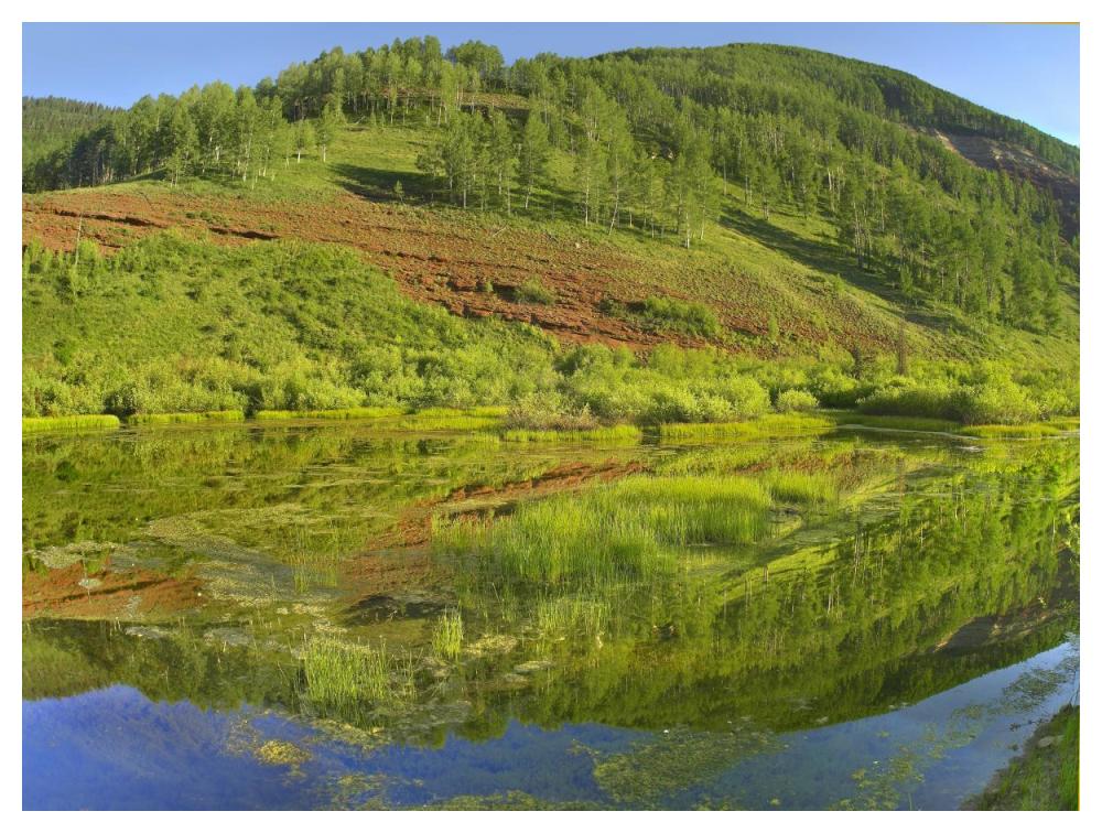 Rico Mountains reflected in Dolores River backwater near Rico, Colorado-Paper Art-50"x38"