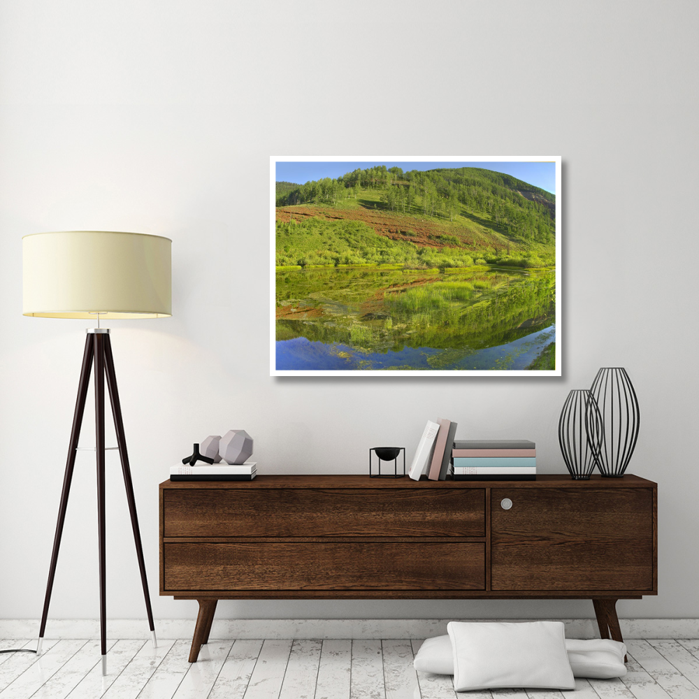 Rico Mountains reflected in Dolores River backwater near Rico, Colorado-Paper Art-50&quotx38"