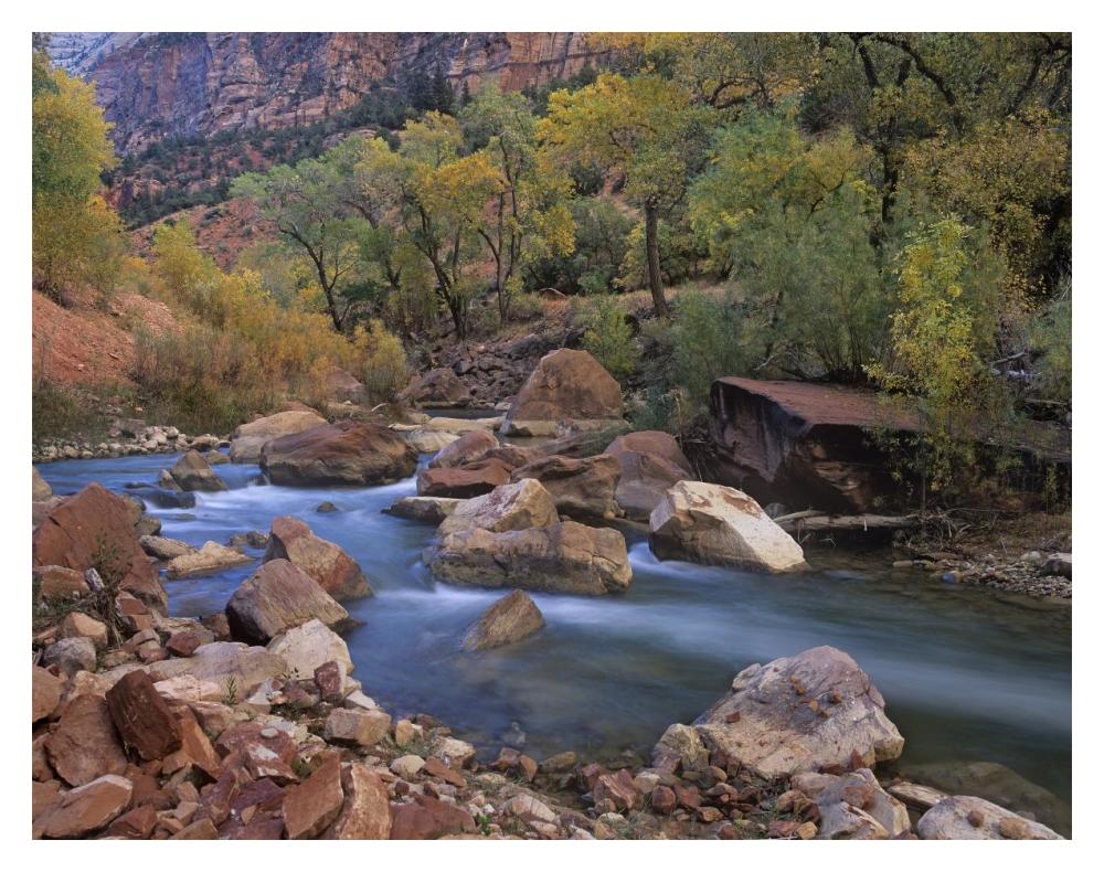 Virgin River flowing through canyon in autumn, Zion National Park, Utah-Paper Art-18"x14"