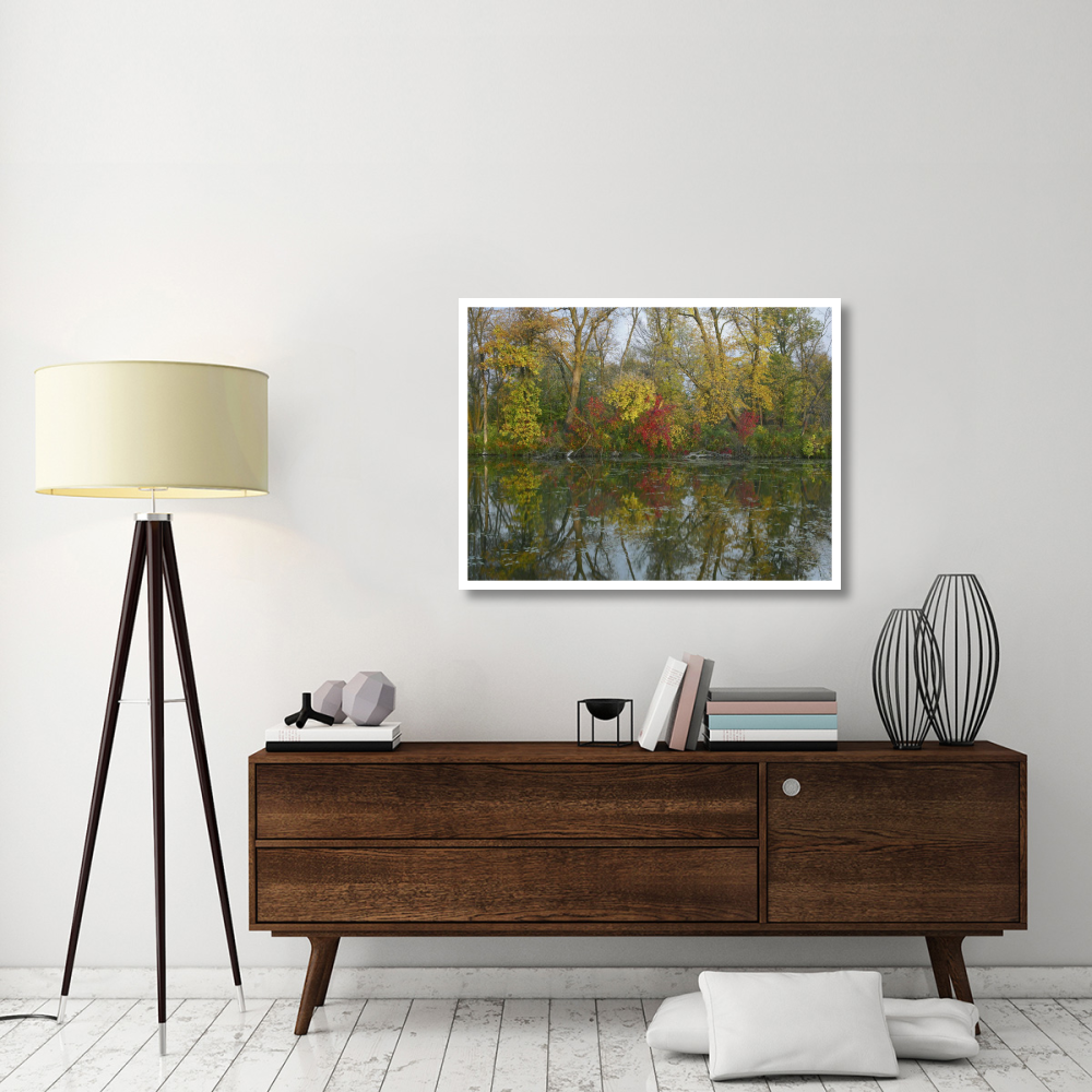 Autumn reflection on Marsh's Lake, Spruce Woods Provincial Park, Canada-Paper Art-42&quotx32"