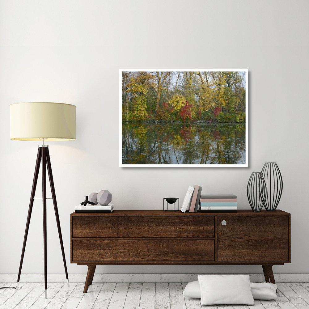 Autumn reflection on Marsh's Lake, Spruce Woods Provincial Park, Canada-Paper Art-50&quotx38"