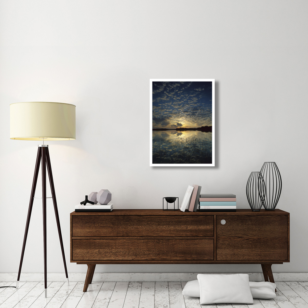 American Alligator in Nine-mile Pond, Everglades National Park, Florida-Paper Art-26&quotx34"