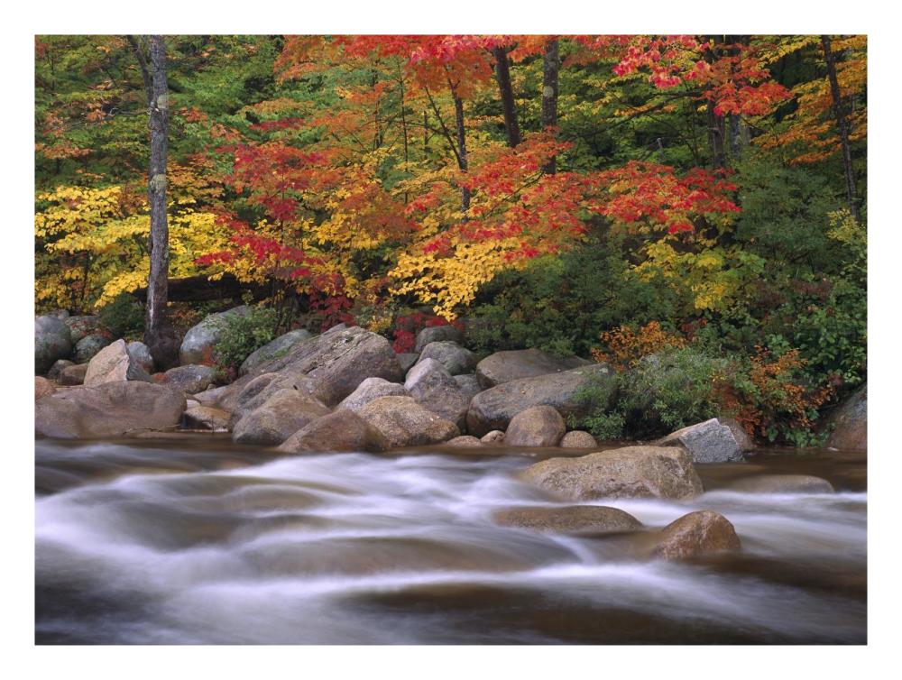 Autumn along Swift River, White Mountains National Forest, New Hampshire-Paper Art-26"x20"