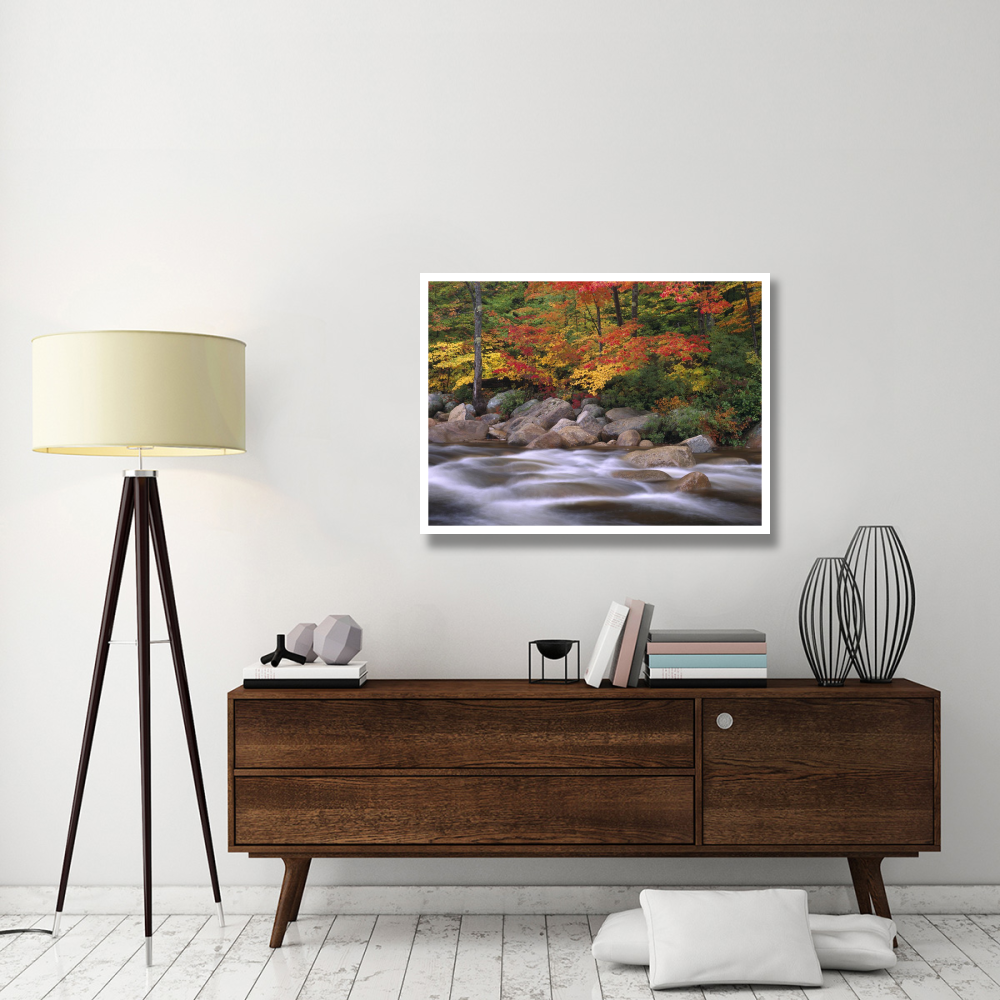 Autumn along Swift River, White Mountains National Forest, New Hampshire-Paper Art-42&quotx32"