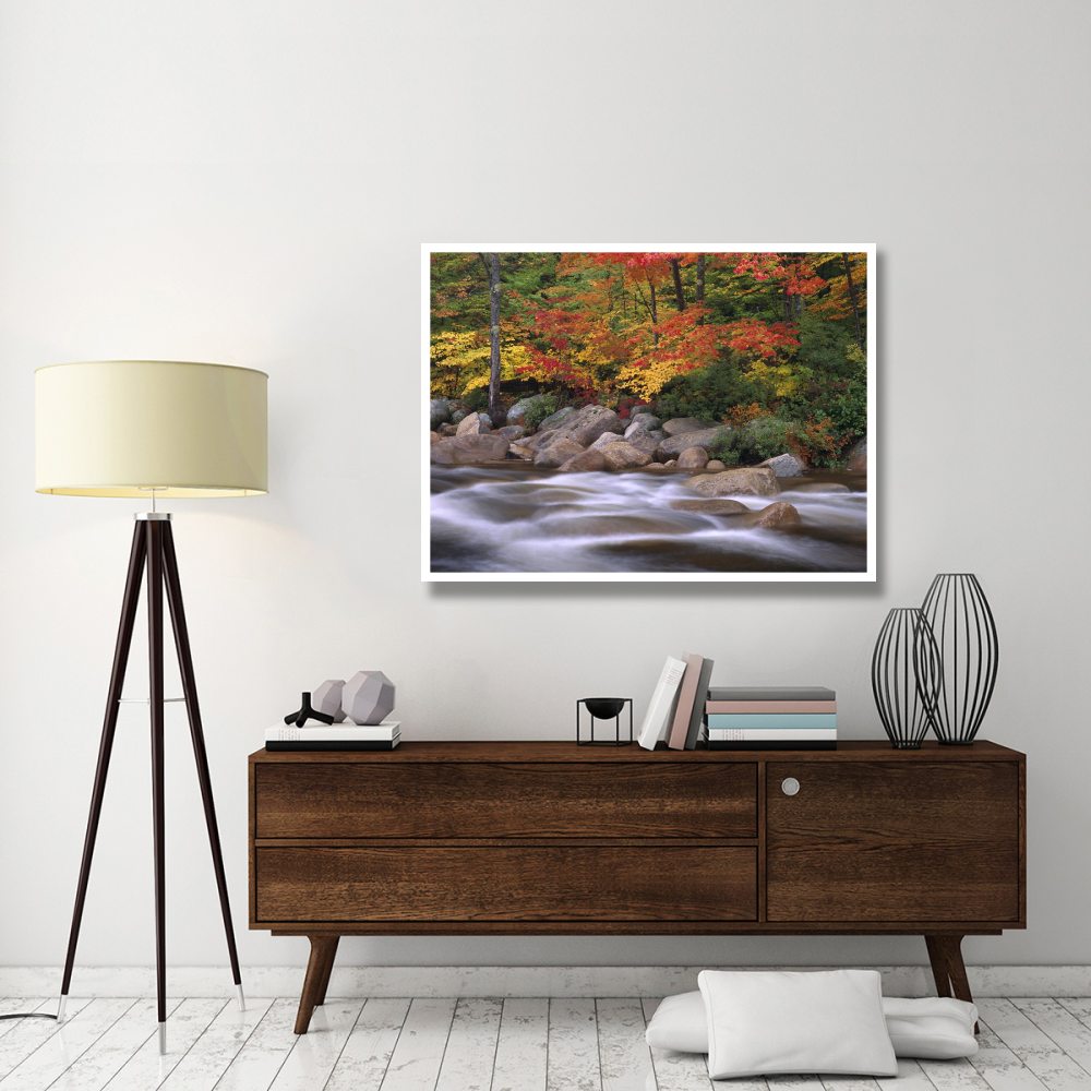 Autumn along Swift River, White Mountains National Forest, New Hampshire-Paper Art-50&quotx38"
