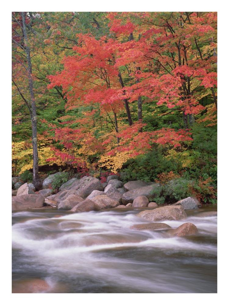 Autumn along Swift River, White Mountains National Forest, New Hampshire-Paper Art-20"x26"