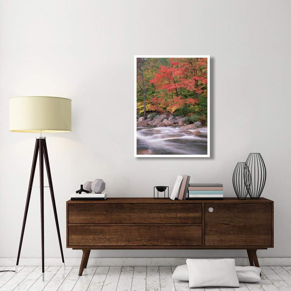 Autumn along Swift River, White Mountains National Forest, New Hampshire-Paper Art-32&quotx42"