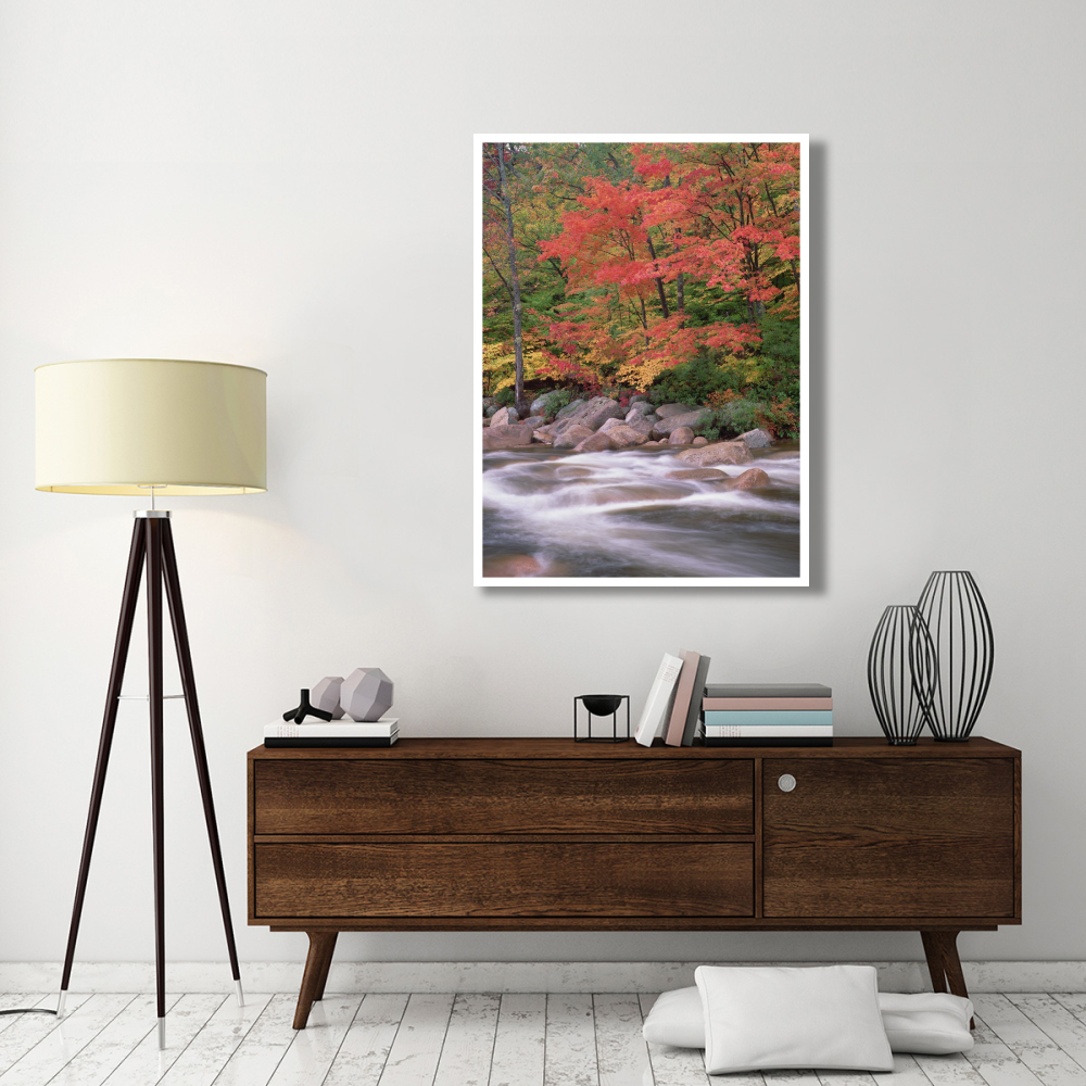 Autumn along Swift River, White Mountains National Forest, New Hampshire-Paper Art-38&quotx50"