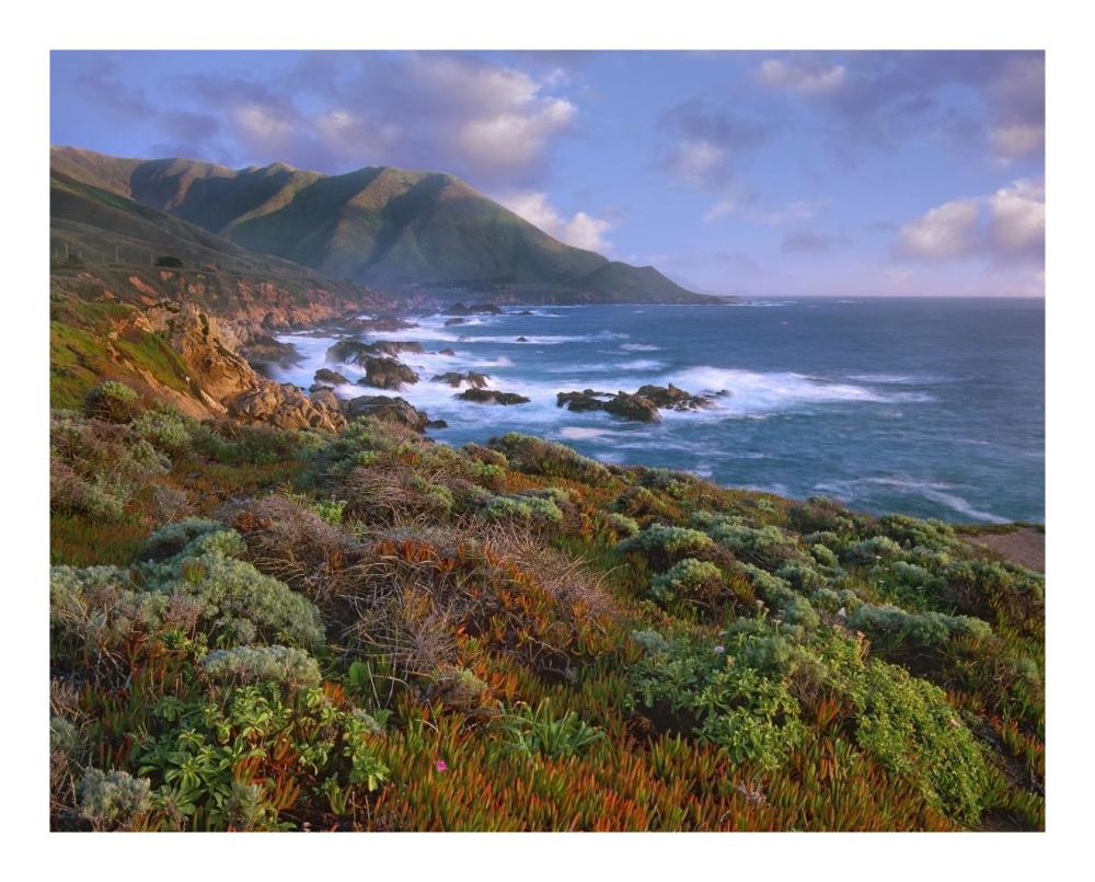 Cliffs and the Pacific Ocean, Garrapata State Beach, Big Sur, California-Paper Art-22"x18"