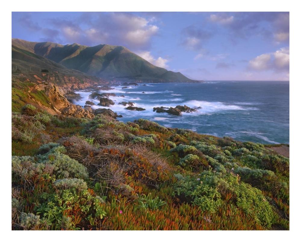 Cliffs and the Pacific Ocean, Garrapata State Beach, Big Sur, California-Paper Art-26"x22"