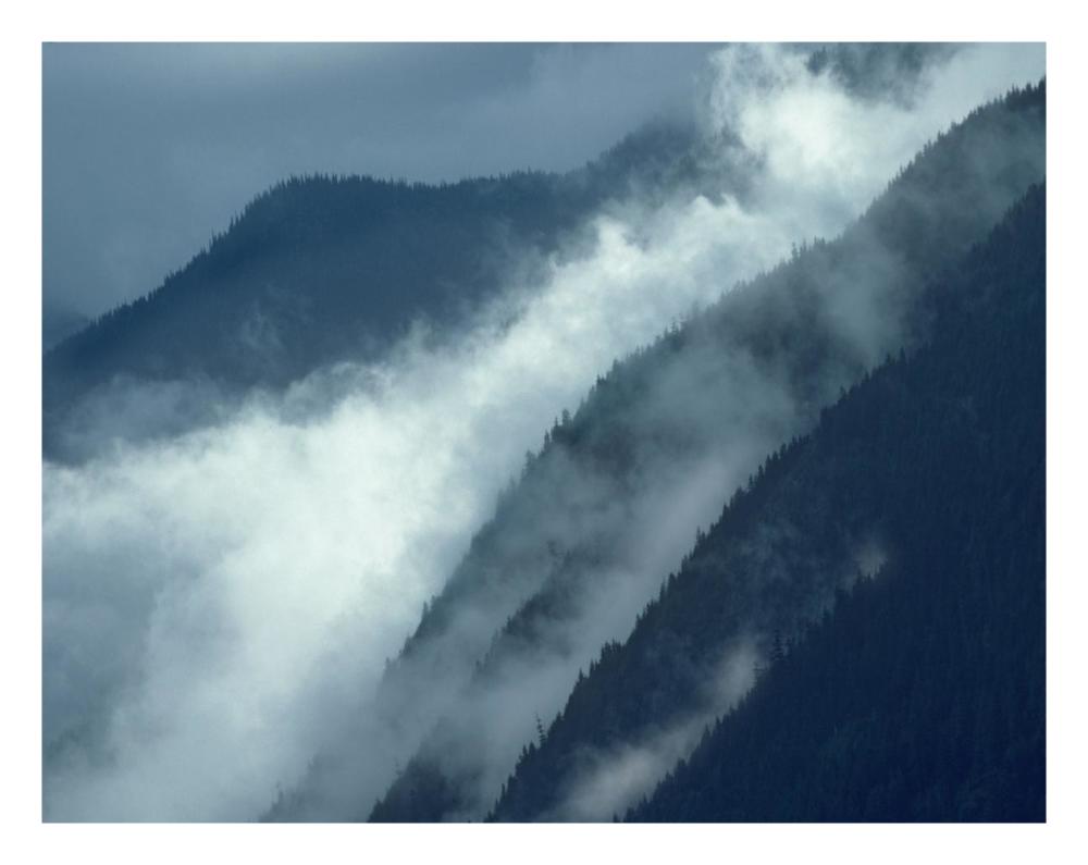 Mist rising in the Cascade Mountains near Hope, British Columbia, Canada-Paper Art-26"x20"