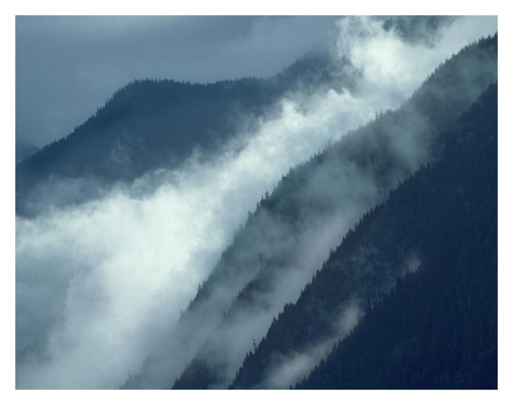 Mist rising in the Cascade Mountains near Hope, British Columbia, Canada-Paper Art-34"x26"
