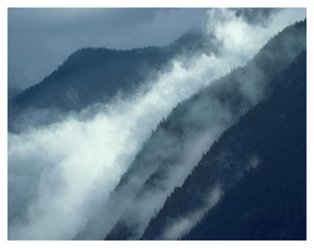 Mist rising in the Cascade Mountains near Hope, British Columbia, Canada-Paper Art-42"x32"