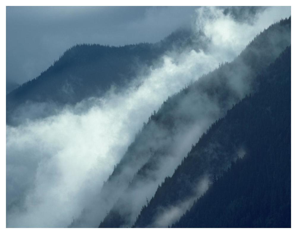 Mist rising in the Cascade Mountains near Hope, British Columbia, Canada-Paper Art-50"x38"