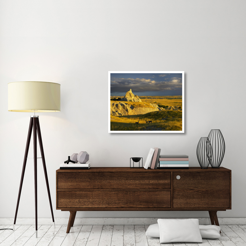 Mule Deer trio in the grasslands of Badlands National Park, South Dakota-Paper Art-37&quotx30"