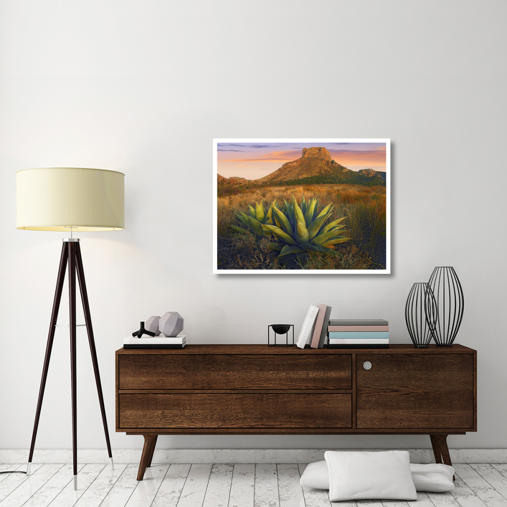 Casa Grande butte with Agave in foreground, Big Bend National Park, Texas-Paper Art-42&quotx32"