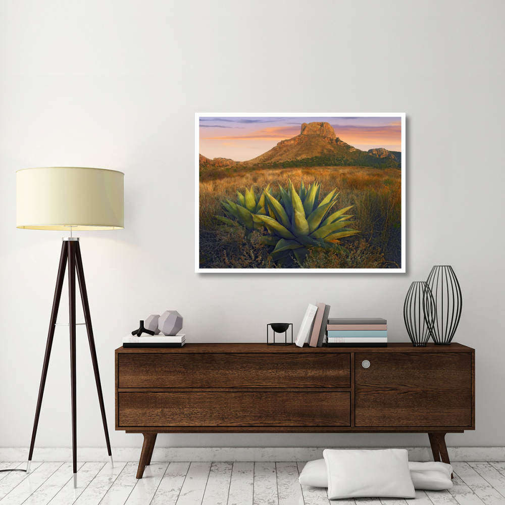 Casa Grande butte with Agave in foreground, Big Bend National Park, Texas-Paper Art-50&quotx38"