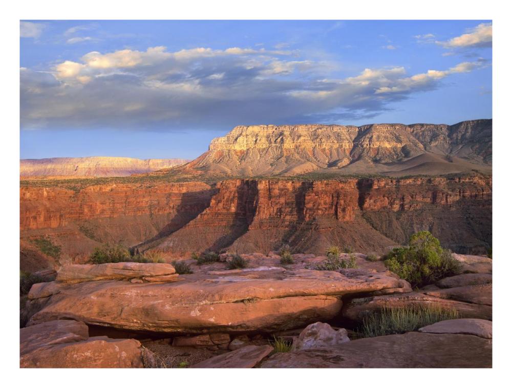 Aubrey Cliffs from Toroweap Overlook, Grand Canyon National Park, Arizona-Paper Art-26"x20"