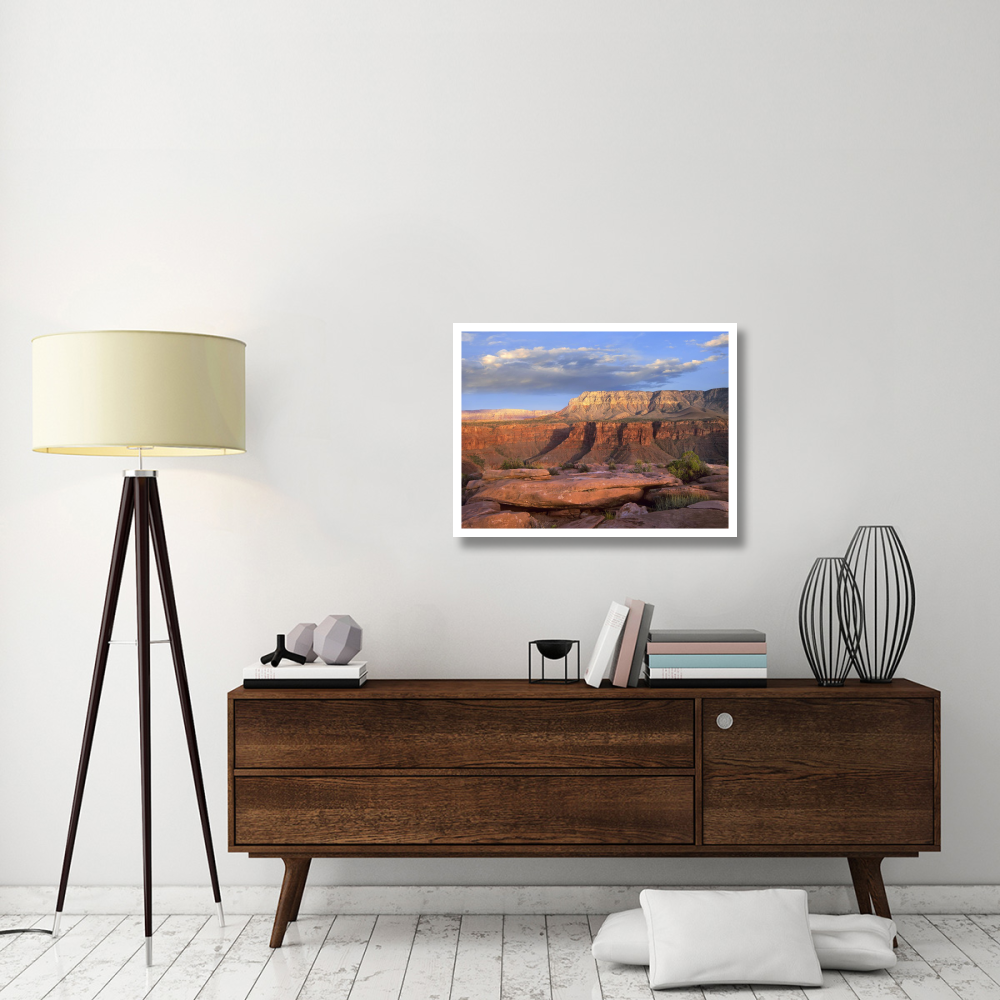 Aubrey Cliffs from Toroweap Overlook, Grand Canyon National Park, Arizona-Paper Art-34&quotx26"