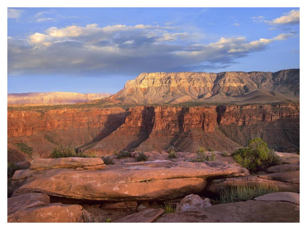Aubrey Cliffs from Toroweap Overlook, Grand Canyon National Park, Arizona-Paper Art-42"x32"