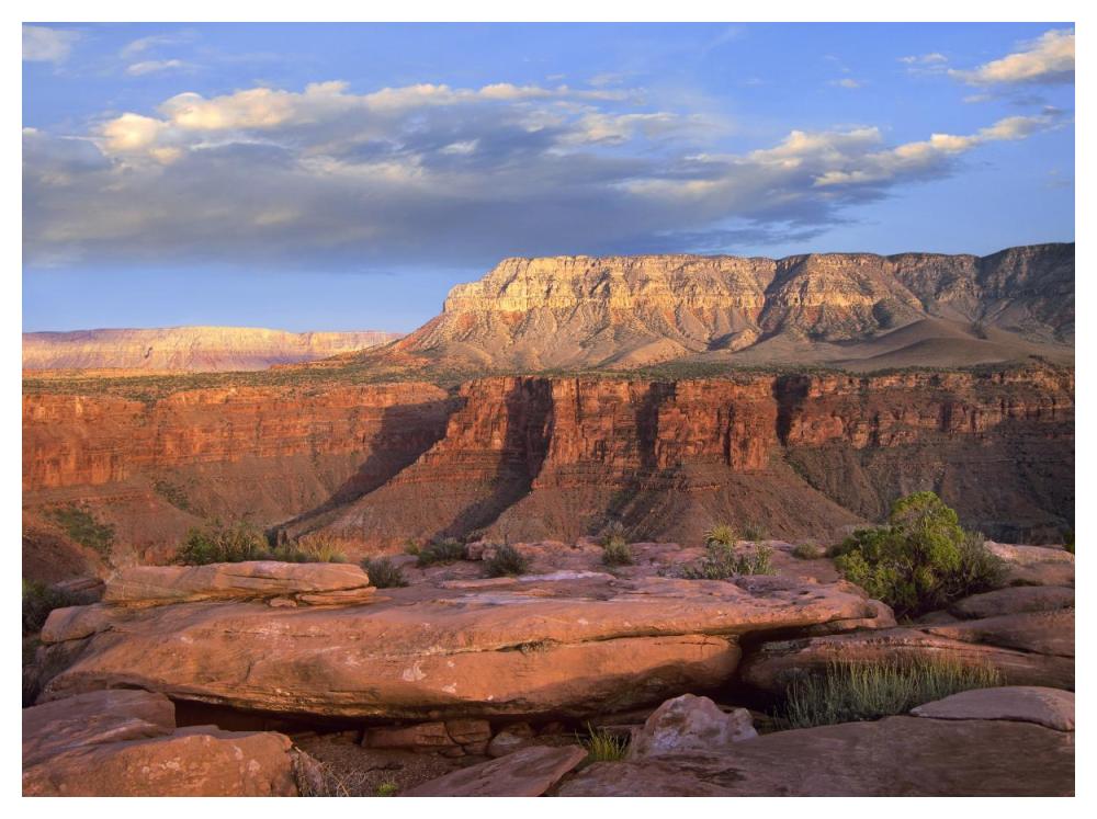 Aubrey Cliffs from Toroweap Overlook, Grand Canyon National Park, Arizona-Paper Art-50"x38"