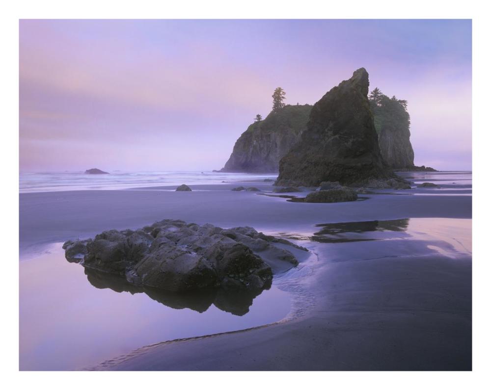 Ruby Beach with seastacks and boulders, Olympic National Park, Washington-Paper Art-26"x20"