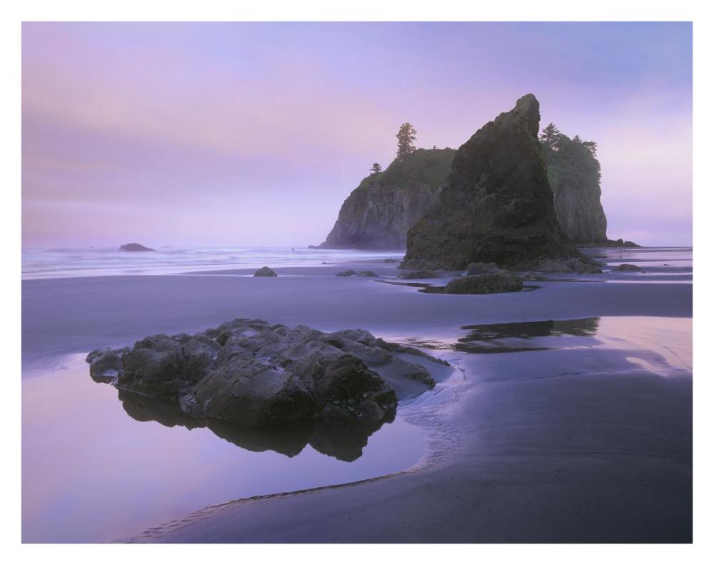 Ruby Beach with seastacks and boulders, Olympic National Park, Washington-Paper Art-34"x26"