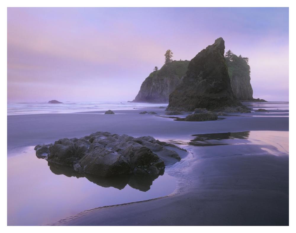 Ruby Beach with seastacks and boulders, Olympic National Park, Washington-Paper Art-42"x32"
