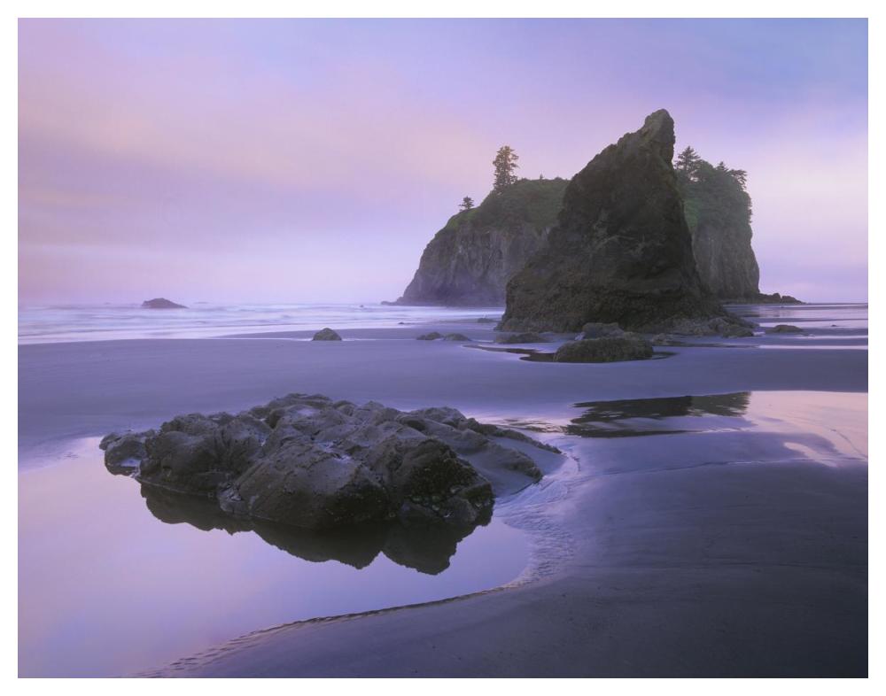 Ruby Beach with seastacks and boulders, Olympic National Park, Washington-Paper Art-50"x38"