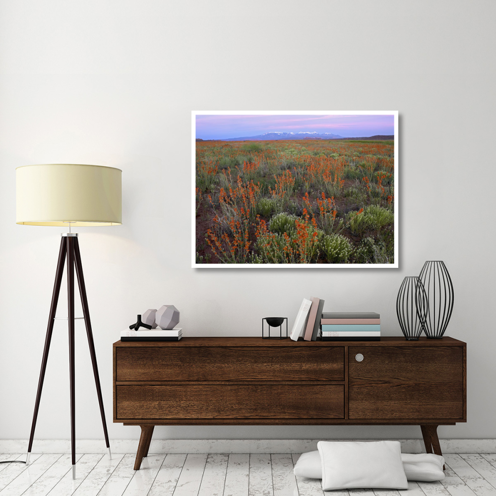 La Sal Mountains and Globemallows Salt Valley, Arches National Park, Utah-Paper Art-50&quotx38"