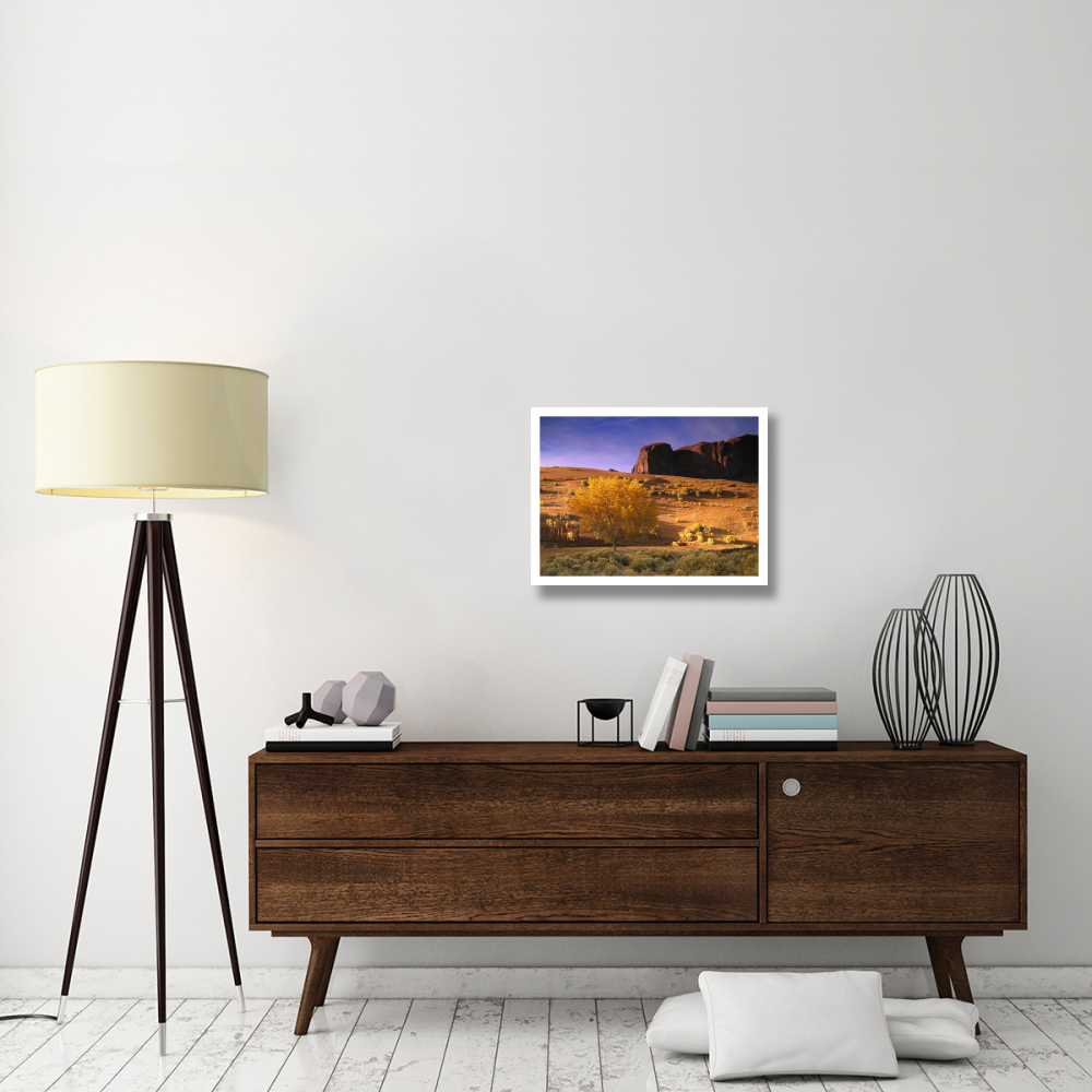 Cottonwood tree and Coyote bush with sand dunes, Monument Valley, Arizona-Paper Art-26&quotx20"
