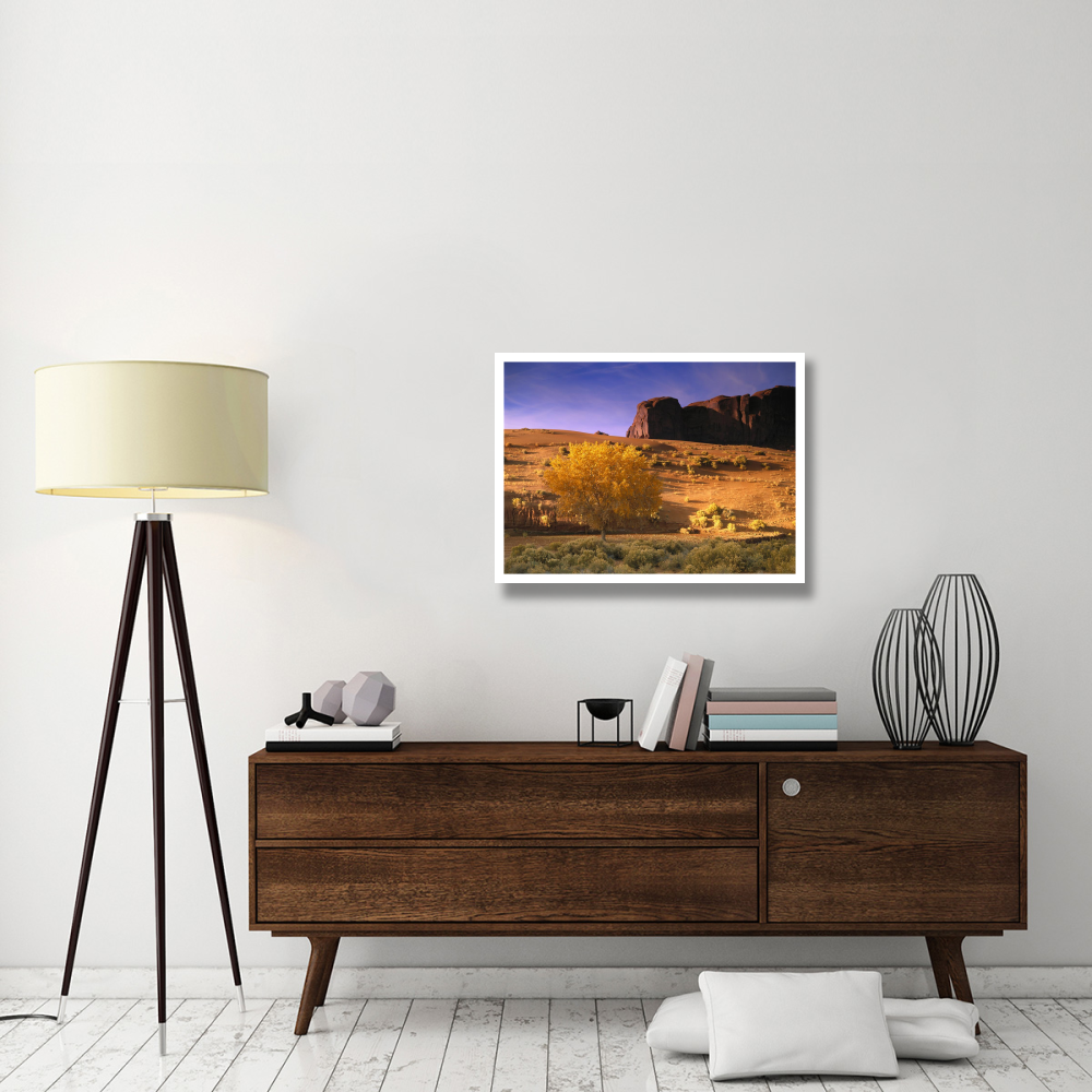 Cottonwood tree and Coyote bush with sand dunes, Monument Valley, Arizona-Paper Art-34&quotx26"