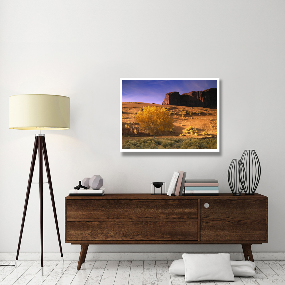 Cottonwood tree and Coyote bush with sand dunes, Monument Valley, Arizona-Paper Art-42&quotx32"