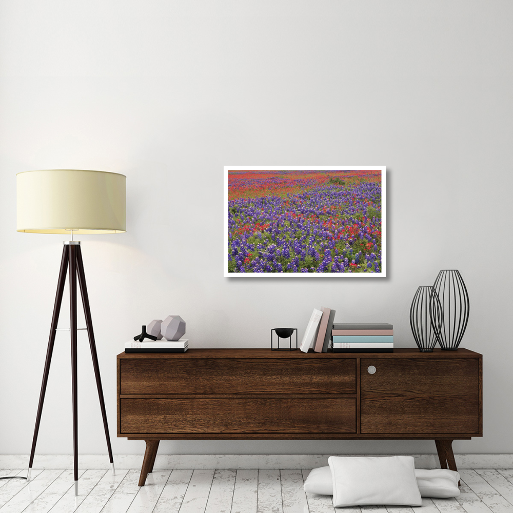 Hill Country wildflowers including Sand Bluebonnets and Paintbrush, Texas-Paper Art-38&quotx26"