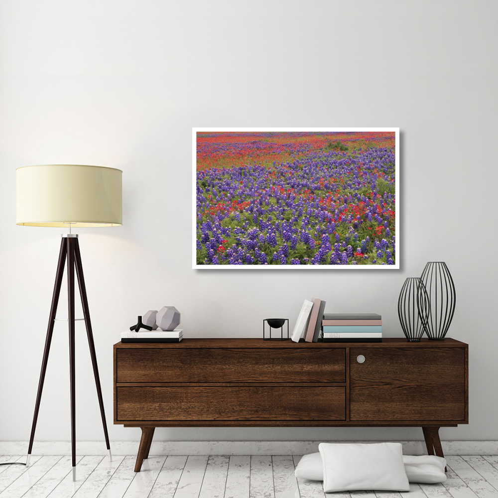 Hill Country wildflowers including Sand Bluebonnets and Paintbrush, Texas-Paper Art-50&quotx34"