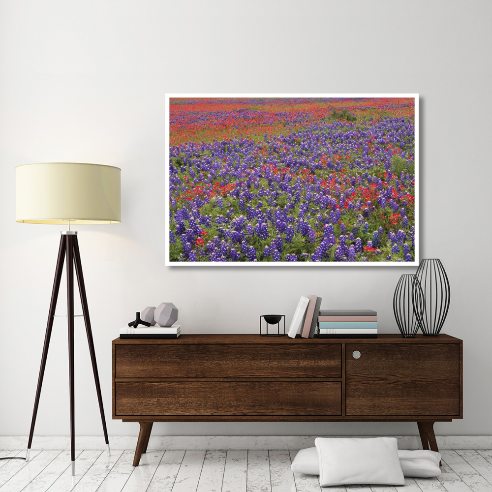 Hill Country wildflowers including Sand Bluebonnets and Paintbrush, Texas-Paper Art-62&quotx42"