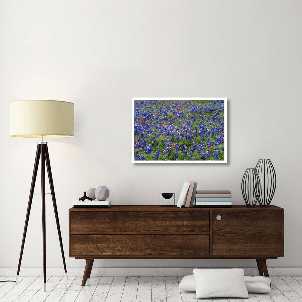 Hill Country wildflowers including Sand Bluebonnets and Paintbrush, Texas-Paper Art-38&quotx26"