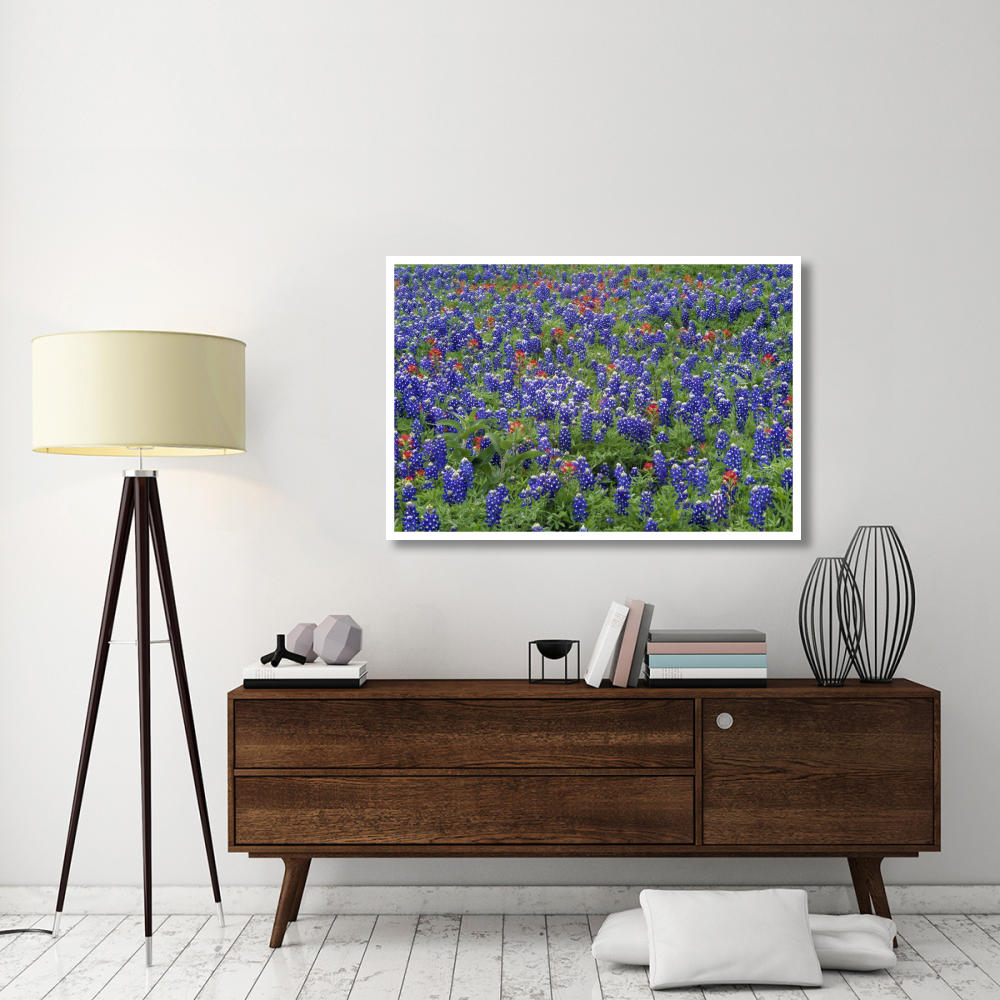 Hill Country wildflowers including Sand Bluebonnets and Paintbrush, Texas-Paper Art-50&quotx34"