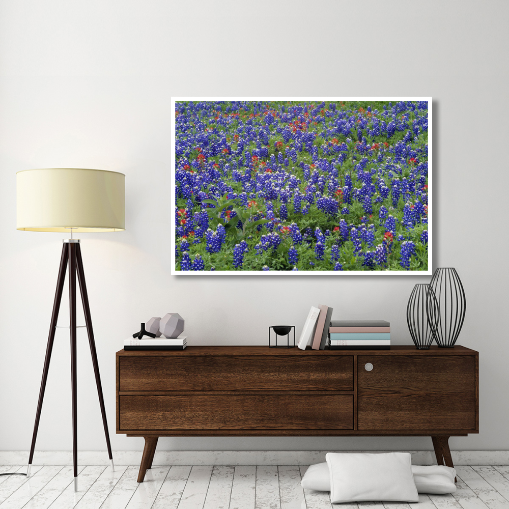 Hill Country wildflowers including Sand Bluebonnets and Paintbrush, Texas-Paper Art-62&quotx42"