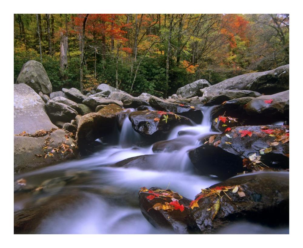 Little Pigeon River cascading among rocks and colorful Maple leaves, Great Smoky Mountains National Park, Tennessee-Paper Art-22"x18"