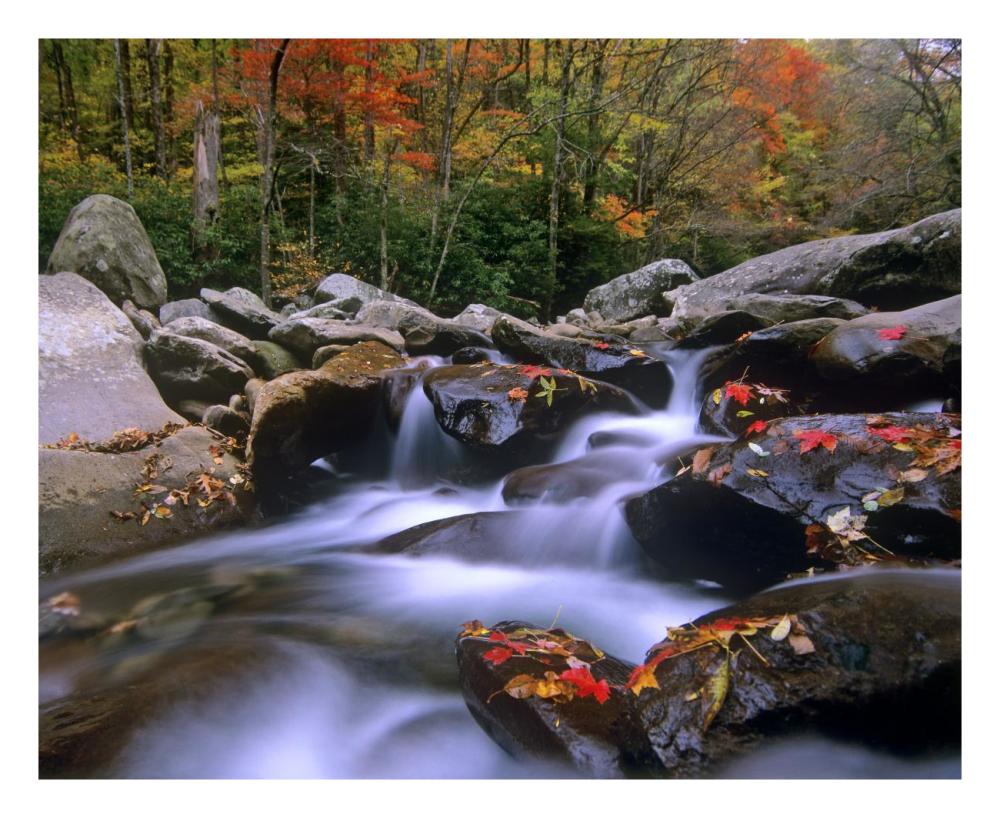 Little Pigeon River cascading among rocks and colorful Maple leaves, Great Smoky Mountains National Park, Tennessee-Paper Art-26"x22"