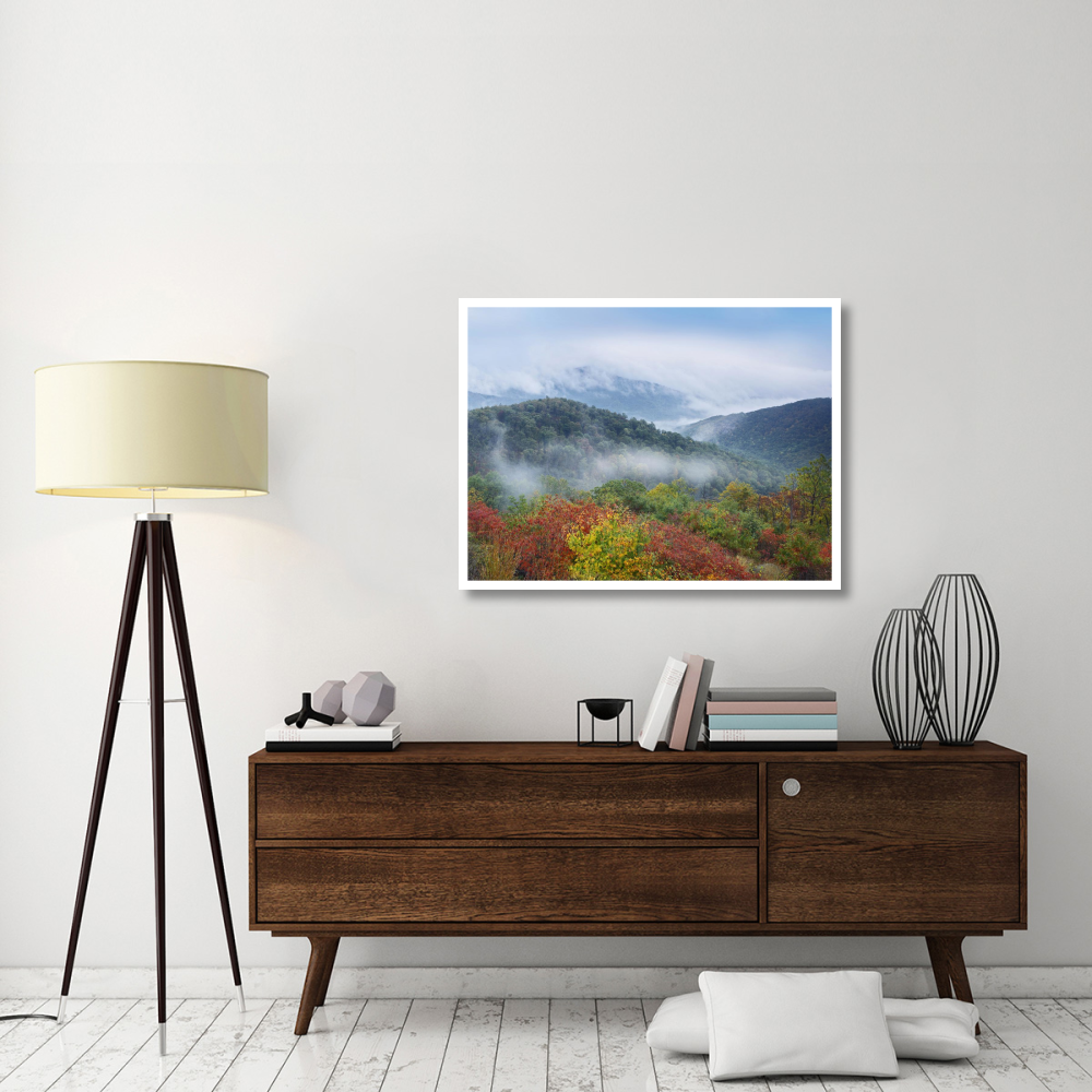 Broadleaf forest in fall colors, Skyline Drive, Shenandoah National Park, Virginia-Paper Art-42&quotx32"
