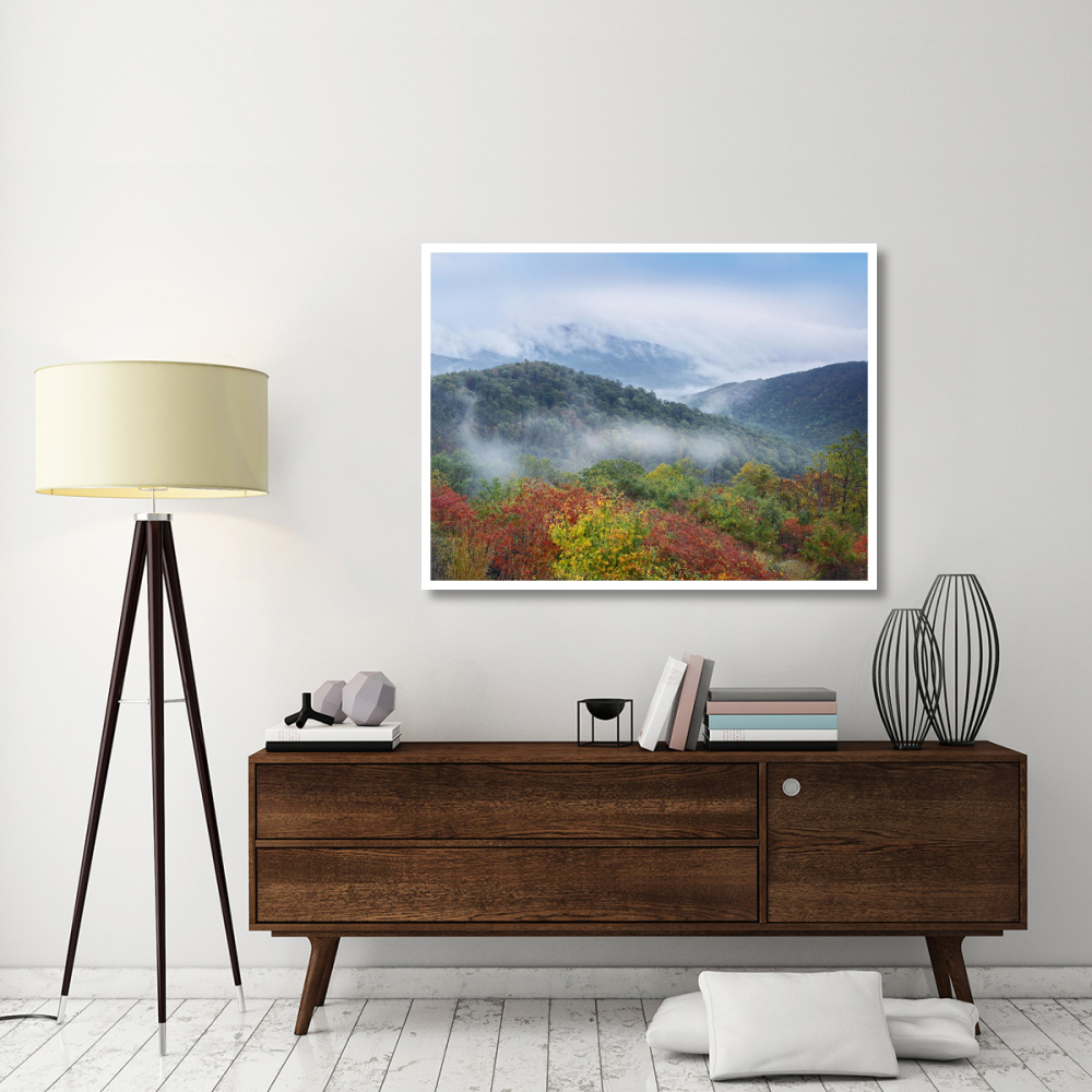 Broadleaf forest in fall colors, Skyline Drive, Shenandoah National Park, Virginia-Paper Art-50&quotx38"